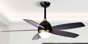 OEM Ceiling Fan Light F3191P