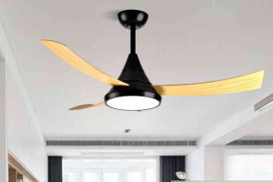 OEM Ceiling Fan Light F3581