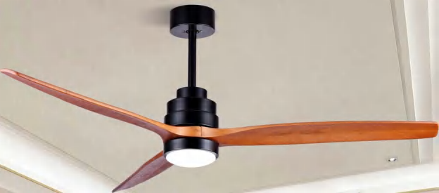 OEM Ceiling Fan Light F3601A