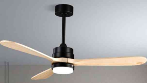 OEM Ceiling Fan Light F3601D