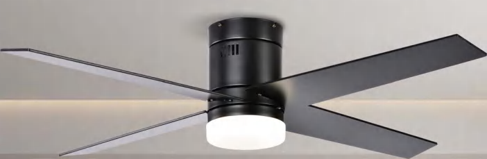 OEM Ceiling Fan Light F4661X