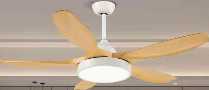 OEM Ceiling Fan Light F5121A