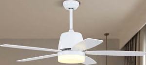 OEM Ceiling Fan Light F5131
