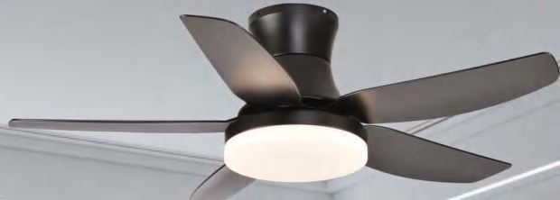 OEM Ceiling Fan Light F5151D