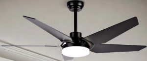 OEM Ceiling Fan Light F5261
