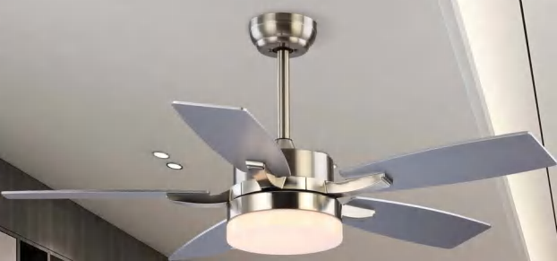 OEM Ceiling Fan Light F5621