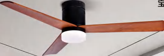 OEM Ceiling Fan Light F5661X