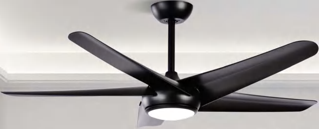 OEM Ceiling Fan Light F5721
