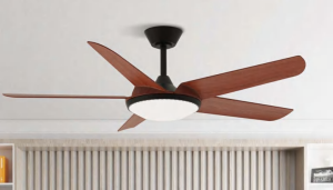 OEM Ceiling Fan Light F5991
