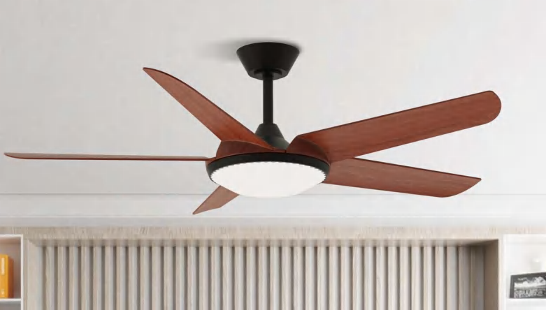 OEM Ceiling Fan Light F5991