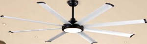 OEM Ceiling Fan Light F8331